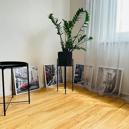 Karoliniskiu Apartamentai * 维尔纽斯