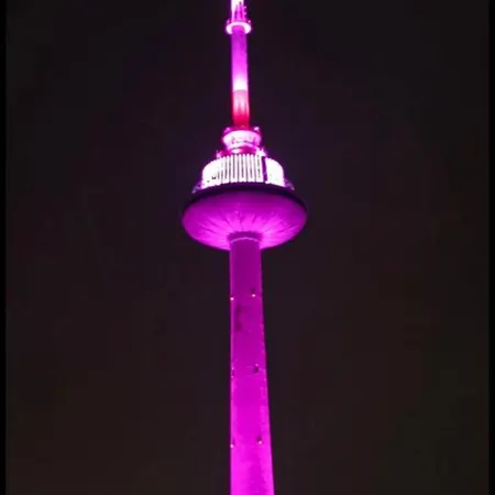 Karoliniskiu Apartamentai Appartement *