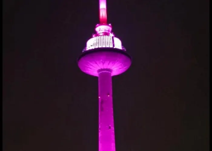 Karoliniskiu Apartamentai Appartement *